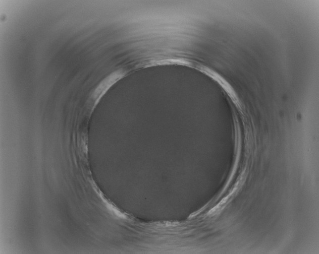 X0000072500809200607211248