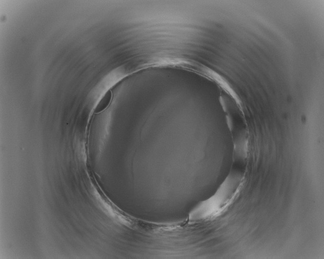 X0000072500810200607211248