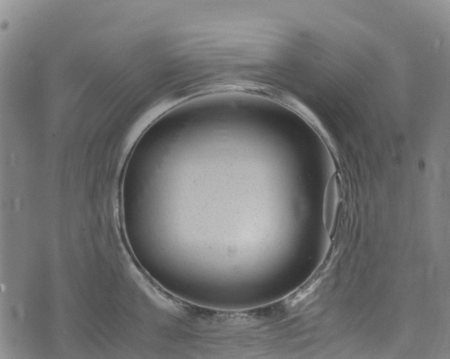 X0000072500811200607211248