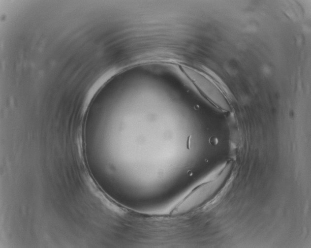 X0000072500812200607211248