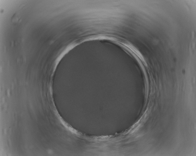 X0000072500813200607211248