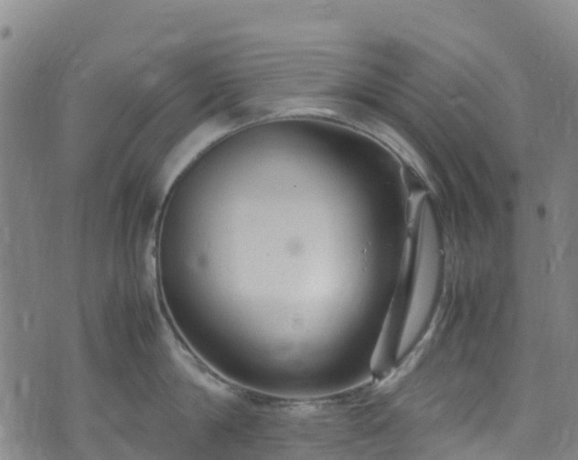 X0000072500814200607211248