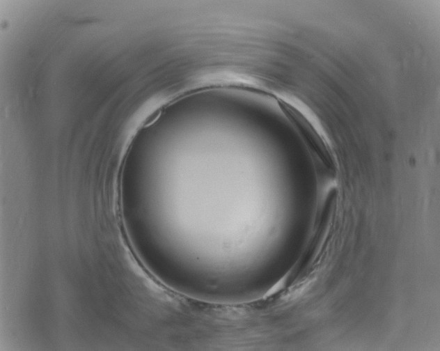 X0000072500815200607211248