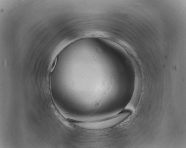 X0000072500816200607211248