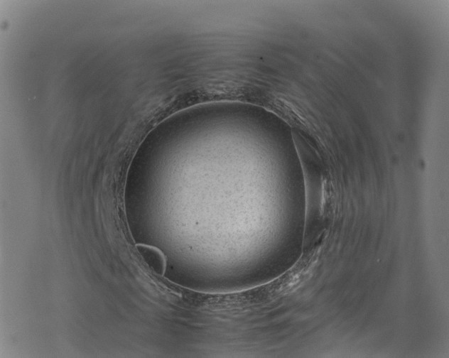 X0000072500817200607211247