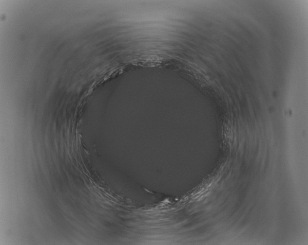 X0000072500818200607211247