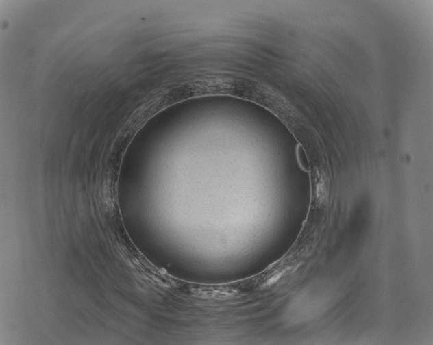 X0000072500819200607211247