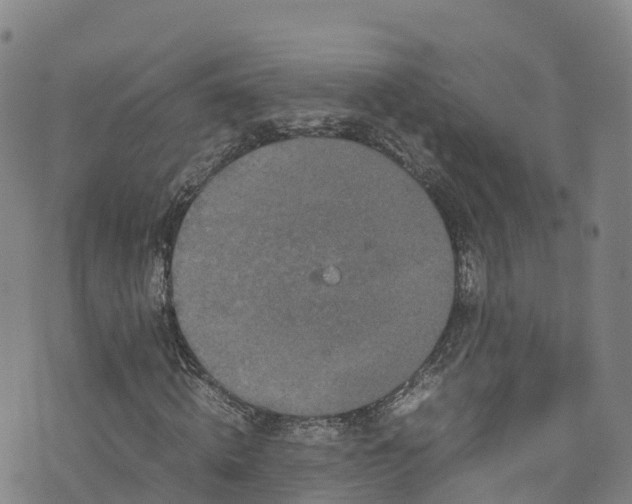 X0000072500820200607211247