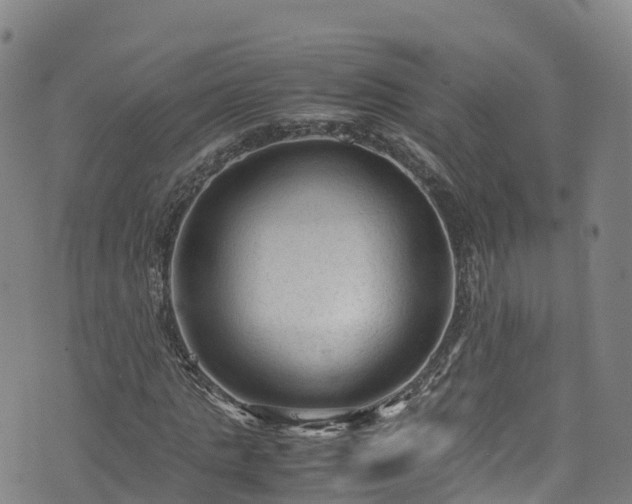 X0000072500821200607211247