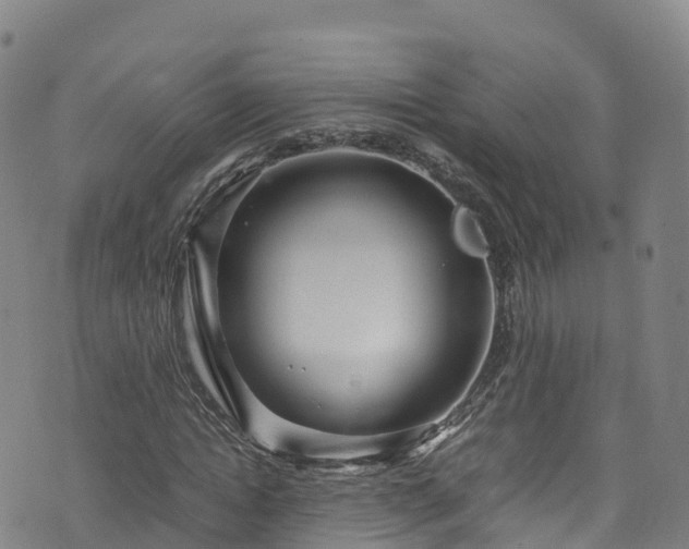 X0000072500822200607211247