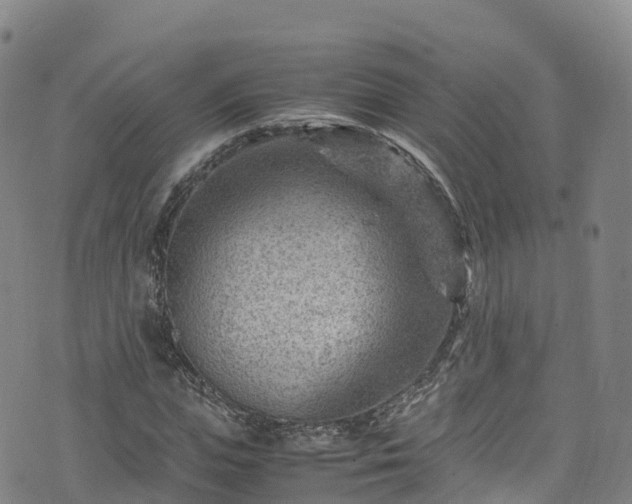 X0000072500823200607211247