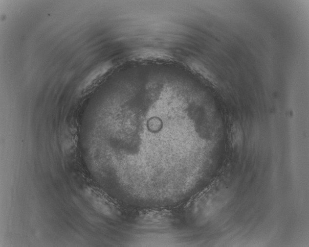 X0000072500824200607211247