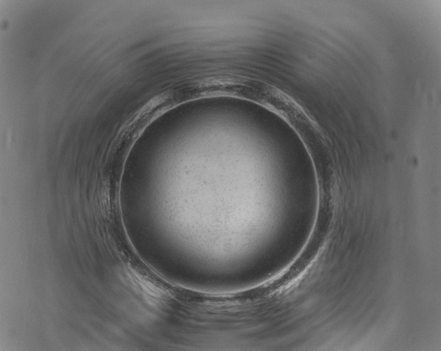 X0000072500825200607211247