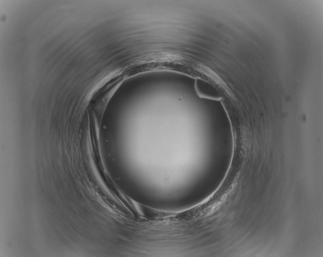 X0000072500826200607211247