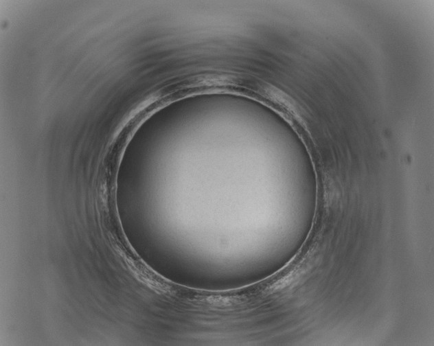 X0000072500827200607211247