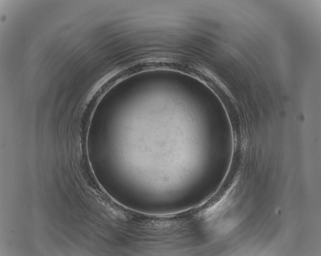 X0000072500829200607211247