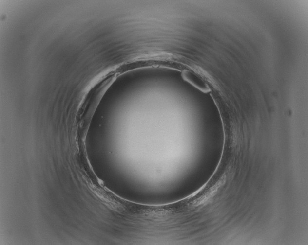 X0000072500830200607211247