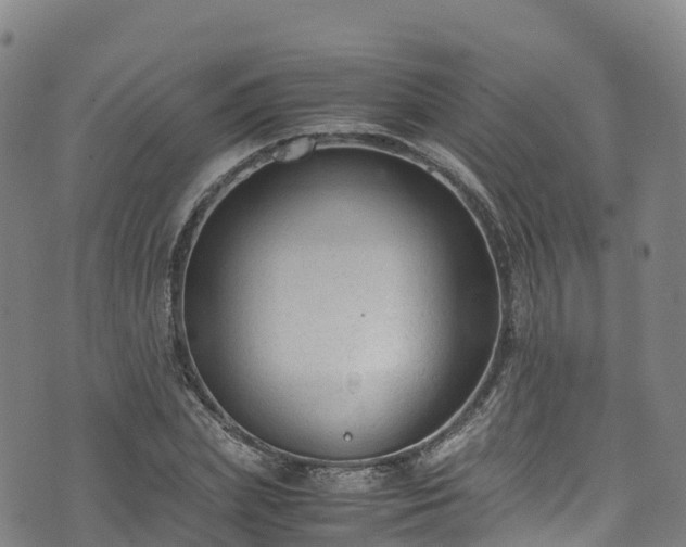 X0000072500831200607211247