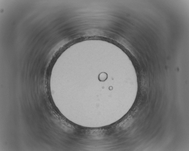 X0000072500832200607211247