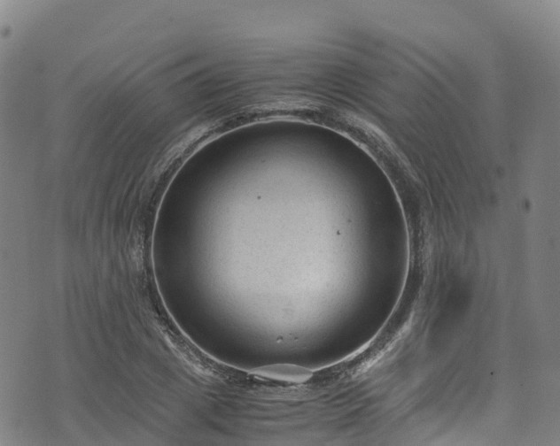 X0000072500833200607211247