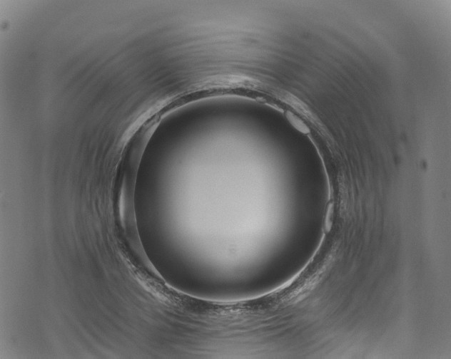 X0000072500834200607211247