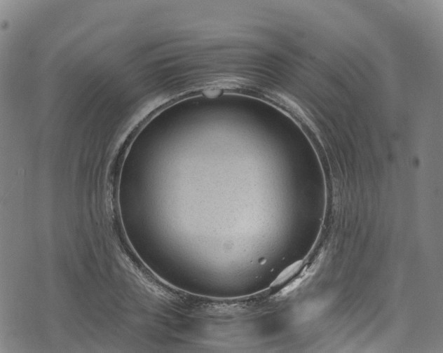 X0000072500835200607211247