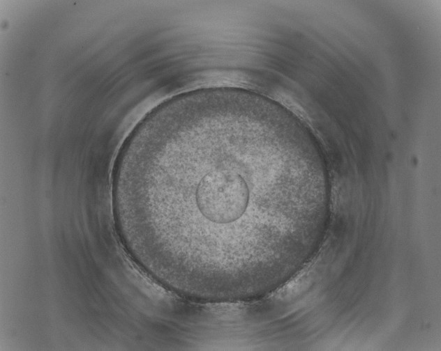 X0000072500836200607211247