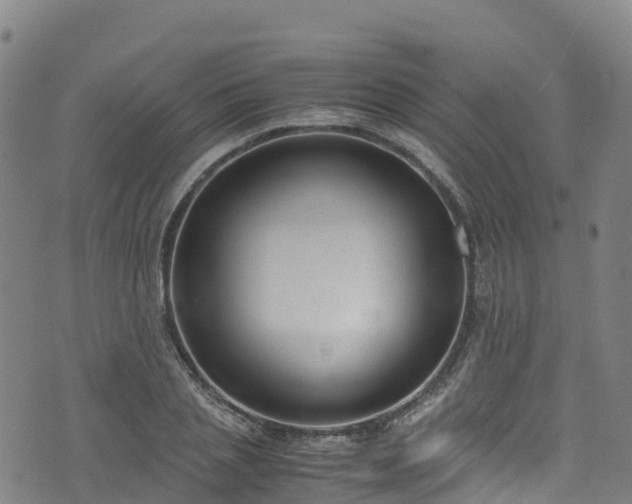 X0000072500837200607211247