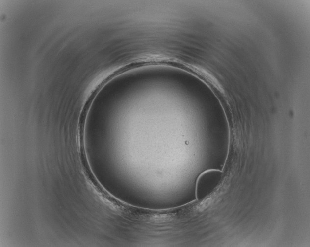 X0000072500839200607211247