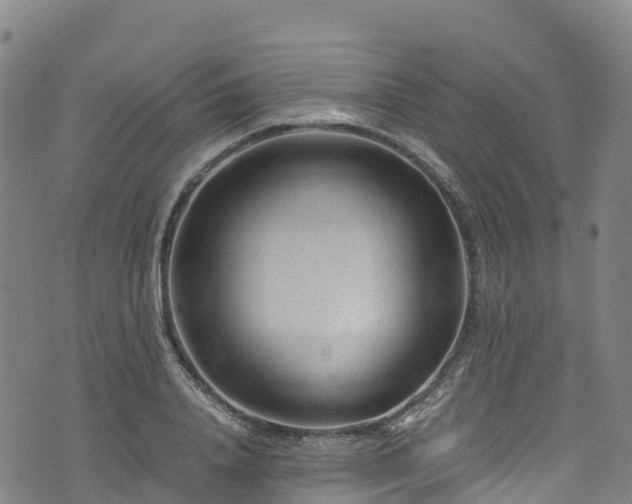 X0000072500840200607211247