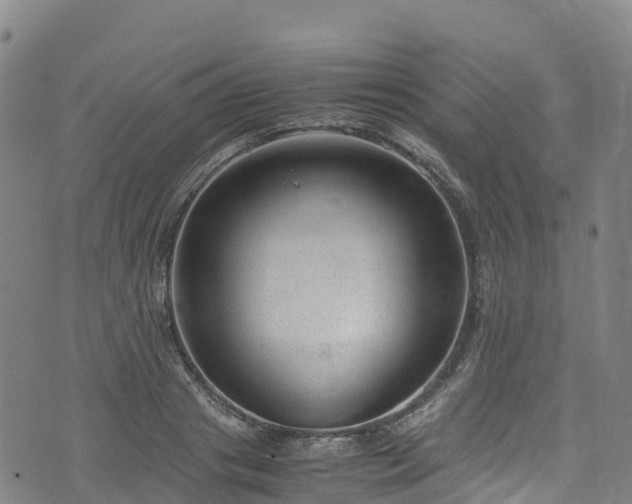 X0000072500841200607211247