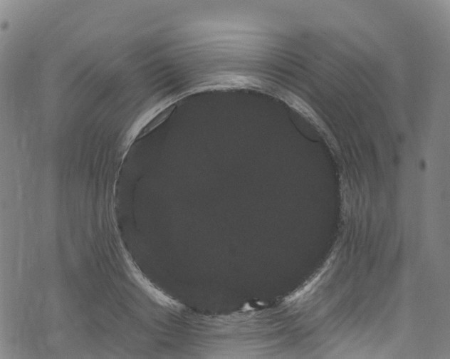 X0000072500842200607211247