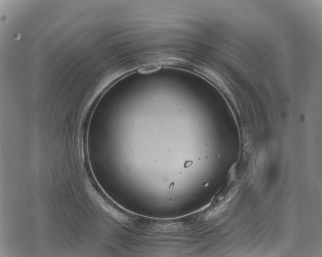 X0000072500843200607211247