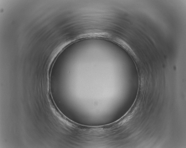 X0000072500844200607211247