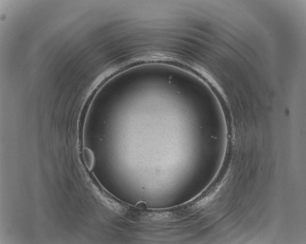 X0000072500845200607211247