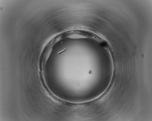 X0000072500846200607211247