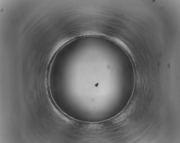 X0000072500847200607211247