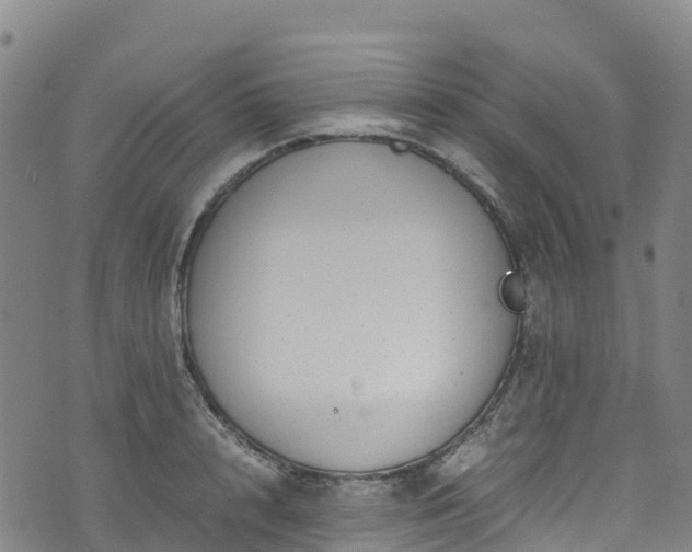 X0000072500848200607211247