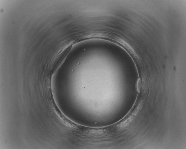 X0000072500849200607211247