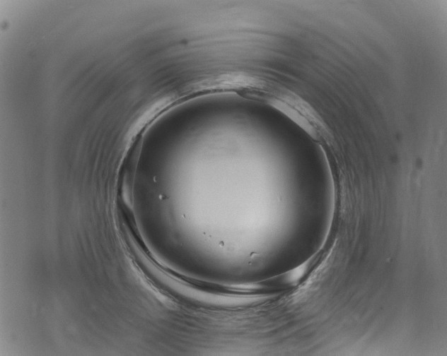 X0000072500850200607211247