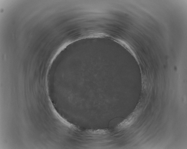 X0000072500851200607211247