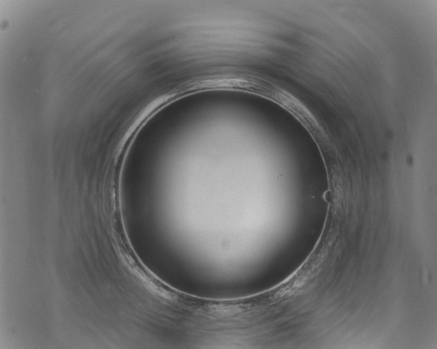 X0000072500852200607211247