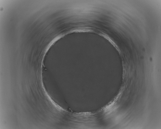 X0000072500853200607211247