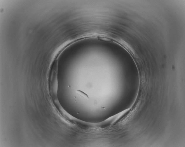 X0000072500854200607211247