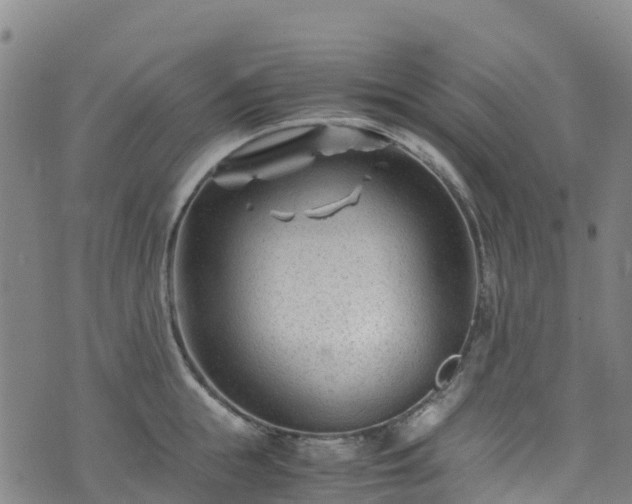 X0000072500855200607211247