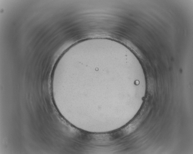 X0000072500856200607211247