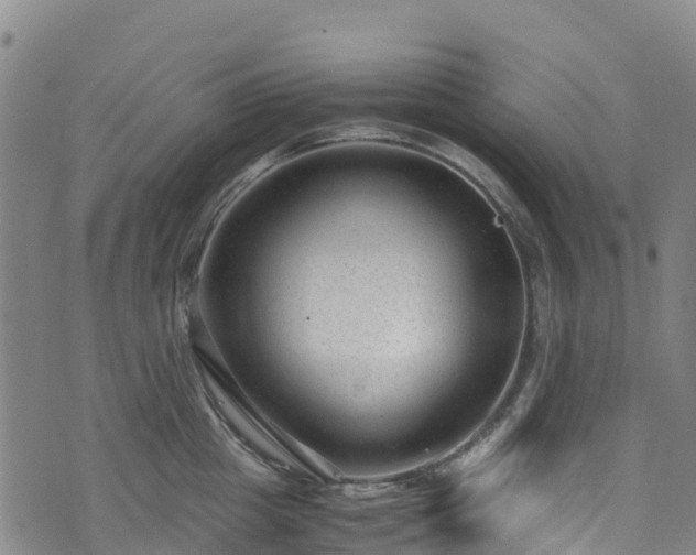 X0000072500857200607211247