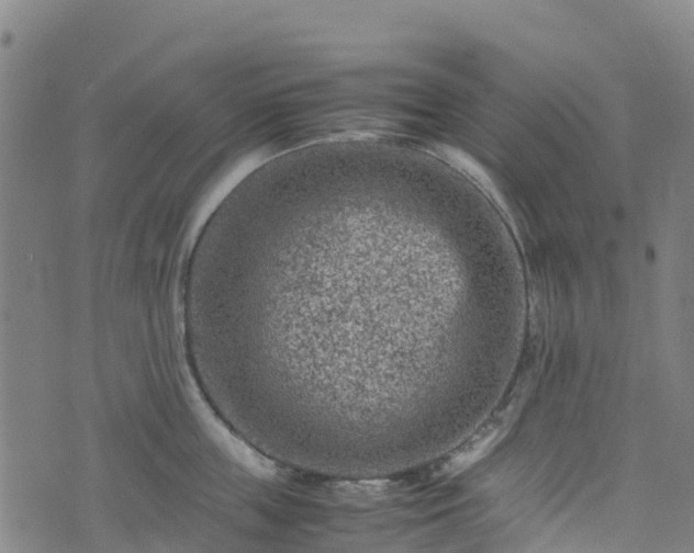 X0000072500859200607211248