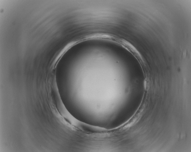 X0000072500860200607211248