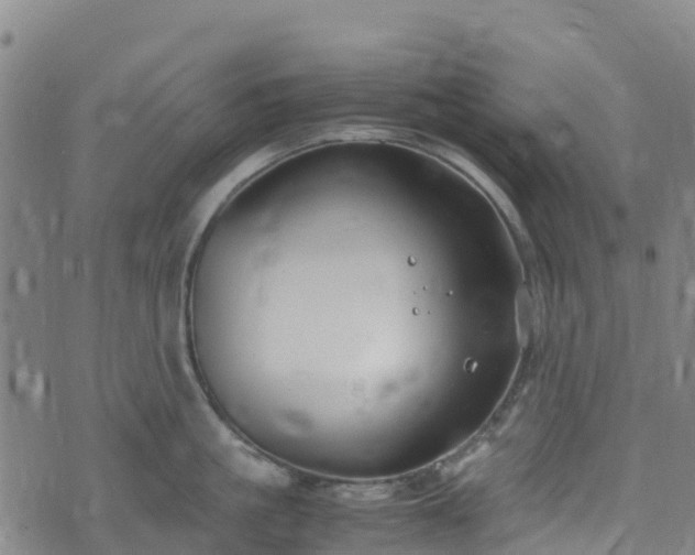 X0000072500861200607211248